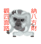 Monkey Xingtai Yun（個別スタンプ：11）