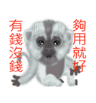 Monkey Xingtai Yun（個別スタンプ：14）