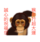 Monkey Xingtai Yun（個別スタンプ：17）