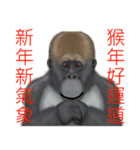 Monkey Xingtai Yun（個別スタンプ：25）