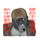 Monkey Xingtai Yun（個別スタンプ：27）