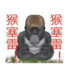 Monkey Xingtai Yun（個別スタンプ：31）