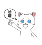 Friends cat, practical dialogue set.（個別スタンプ：1）