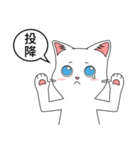 Friends cat, practical dialogue set.（個別スタンプ：11）