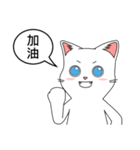 Friends cat, practical dialogue set.（個別スタンプ：12）