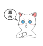 Friends cat, practical dialogue set.（個別スタンプ：19）