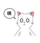 Friends cat, practical dialogue set.（個別スタンプ：20）