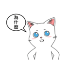 Friends cat, practical dialogue set.（個別スタンプ：22）