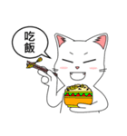 Friends cat, practical dialogue set.（個別スタンプ：24）