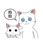 Friends cat, practical dialogue set.（個別スタンプ：29）