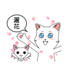 Friends cat, practical dialogue set.（個別スタンプ：35）