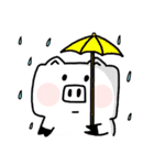 SquarePig 2（個別スタンプ：37）