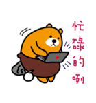 Kinmen the Liu-Lang Bear（個別スタンプ：13）