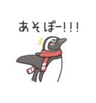 日常系ケープペンギン（個別スタンプ：5）