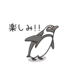 日常系ケープペンギン（個別スタンプ：9）