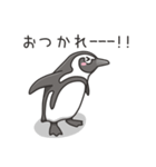 日常系ケープペンギン（個別スタンプ：18）