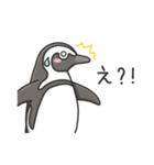 日常系ケープペンギン（個別スタンプ：31）