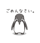 日常系ケープペンギン（個別スタンプ：39）