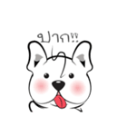 Dog-gy（個別スタンプ：12）