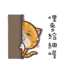 ランラン猫 2（個別スタンプ：31）