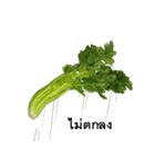 a broken heart celery（個別スタンプ：33）