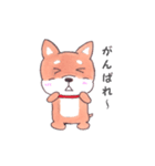 柴犬のまり（個別スタンプ：6）