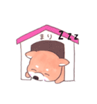 柴犬のまり（個別スタンプ：16）