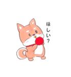 柴犬のまり（個別スタンプ：27）