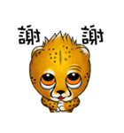 Funny little cheetah 2（個別スタンプ：13）