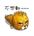 Funny little cheetah 2（個別スタンプ：20）