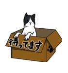 のびるねこすたんぷ（個別スタンプ：8）