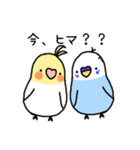 インコさんと仲間たち（個別スタンプ：16）