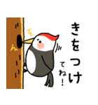 インコさんと仲間たち（個別スタンプ：19）