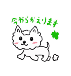 ホワイトテリアのエレナ vol.2（個別スタンプ：23）