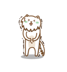 white pomeranian DoDo（個別スタンプ：15）