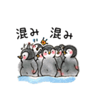 ベビー皇帝ペンギンの甘えた日常（個別スタンプ：13）