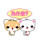 Beiya Cat (Practical Chinese)（個別スタンプ：15）