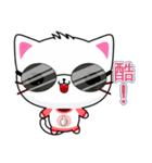 Beiya Cat (Practical Chinese)（個別スタンプ：23）