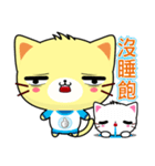 Beiya Cat (Practical Chinese)（個別スタンプ：28）