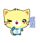 Beiya Cat (Practical Chinese)（個別スタンプ：40）