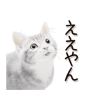 関西弁リアル猫2（個別スタンプ：1）