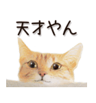 関西弁リアル猫2（個別スタンプ：21）