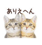 関西弁リアル猫2（個別スタンプ：35）