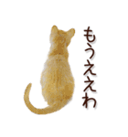 関西弁リアル猫2（個別スタンプ：40）