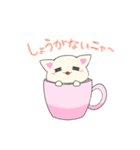 マグねこ（個別スタンプ：13）