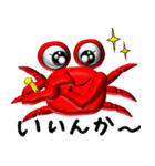 福井弁の蟹ちゃんスタンプ（個別スタンプ：6）