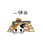 こまねこ（個別スタンプ：6）