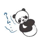 greeting_panda（個別スタンプ：31）