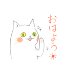 白ねこさんの日常（個別スタンプ：1）