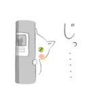 白ねこさんの日常（個別スタンプ：19）